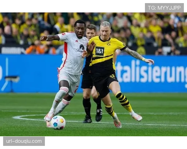 德甲格局扑朔迷离 欧战资格与保级前景进入白热化阶段